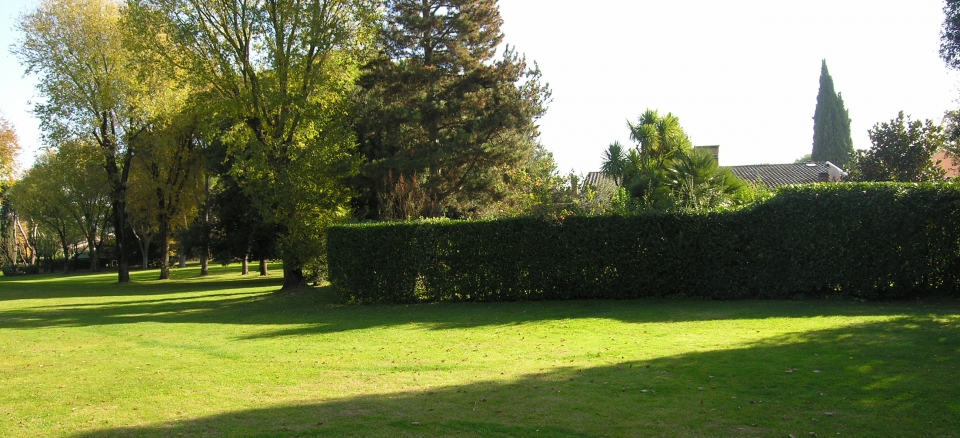 Il tuo verde nell'Olgiata